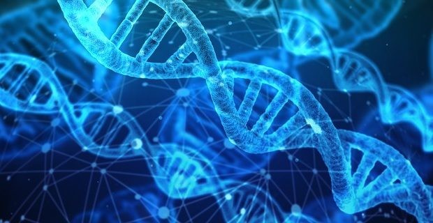 Acemyhomework Writers | Is  a hair dryer necessary for short hair? | Acemyhomework Writers