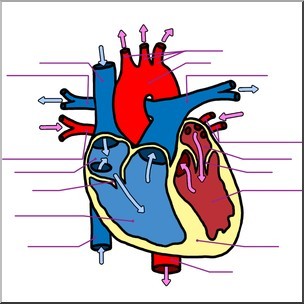 Cardiac Biomarkers Market