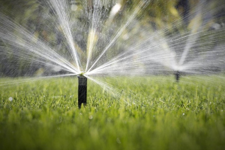 Commercial and residential lawn care in Miami