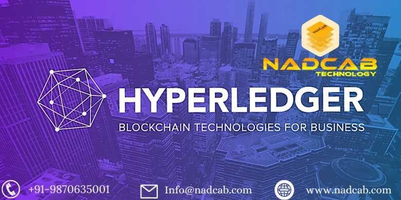 Hyperledger Blockchain Development Services