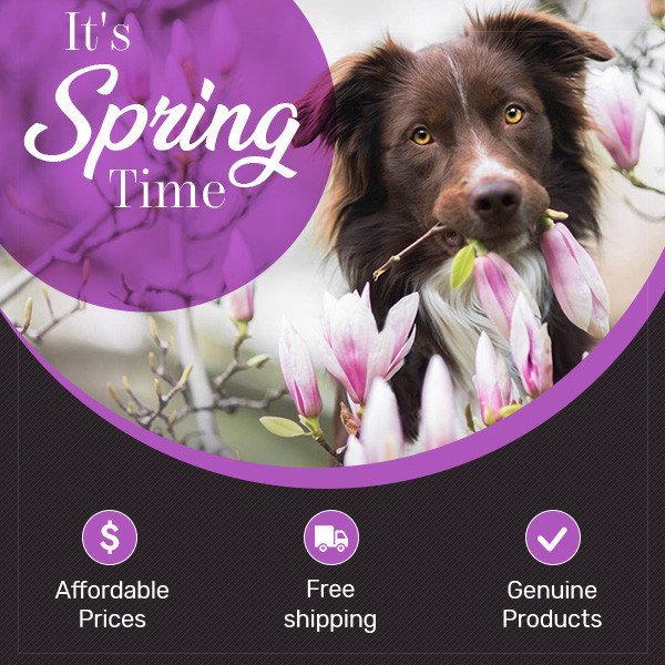 Spring sale!!! at eBay's best store BargainPetProducts
