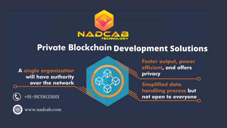 Private Blockchain Development Solution