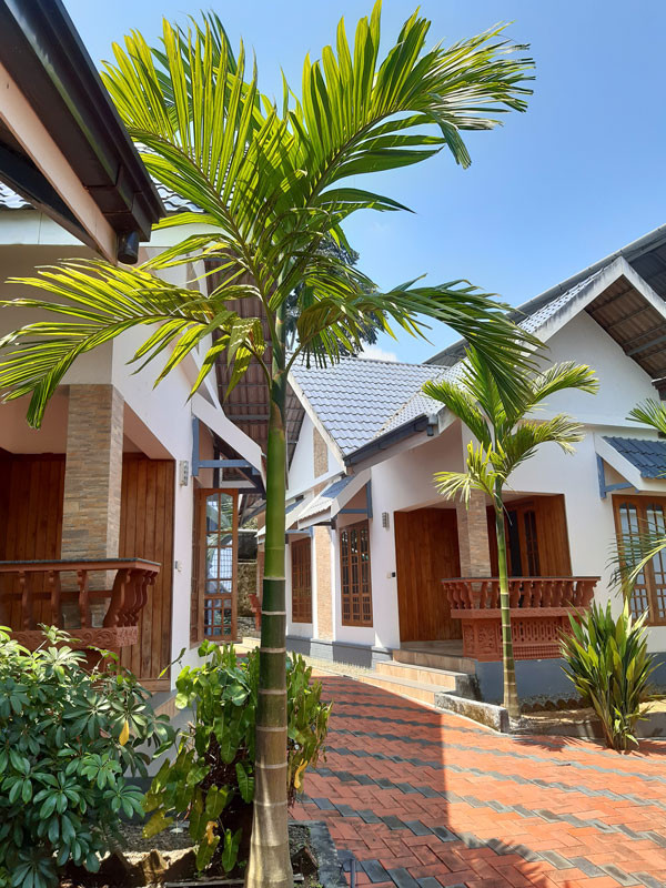 ayurvedic treatment centres in Kerala