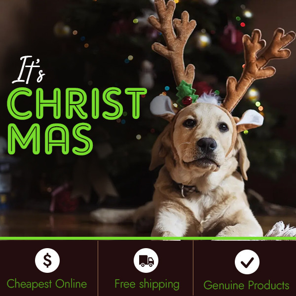 Amazon-store-MaxPetSupplies-is-providing-big-deal-on-pet-products-on-this-Christmas.jpg