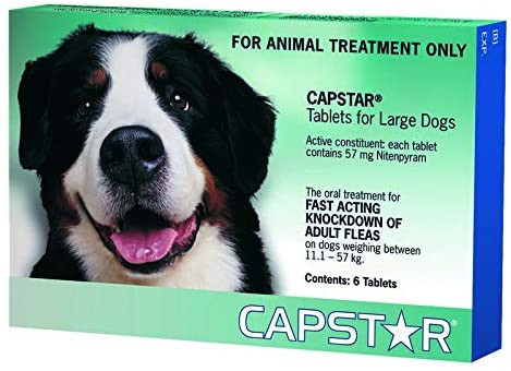 Capstar-for-Large-Dogs-11.1-57kg-(Green)-6-Pack.jpg