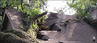 Roof Repair by Orbit Roofing