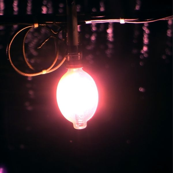 Best Light For Night Fishing Reviews In 2022