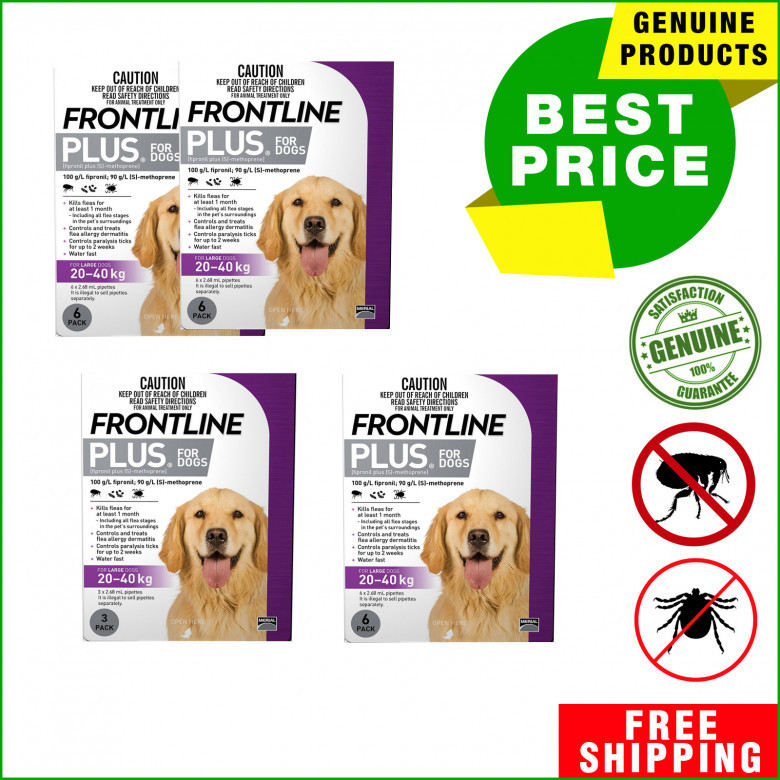 Frontline-Plus-for-20-To-40-Kg-Dogs-for-Flea-and-Tick-Treatment.jpg