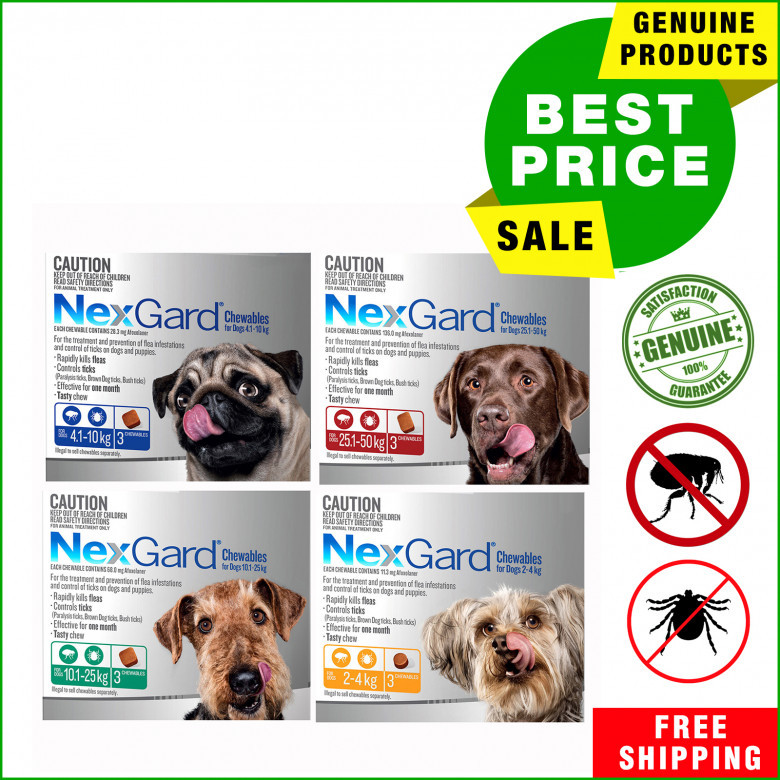 NEXGARD-Monthly-Chews-Flea-and-Tick-Protection-for-Dogs.jpg
