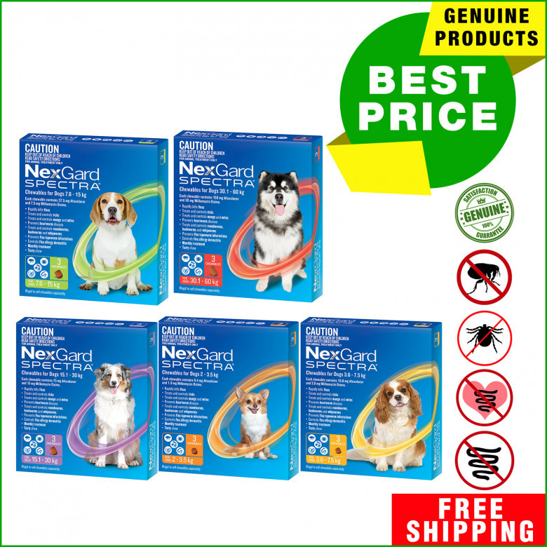 NEXGARD-SPECTRA-for-Dogs-3-Chews-Flea-Worm-Treatment.jpg