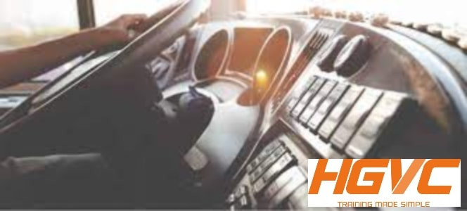 Online Driver Risk Assessment