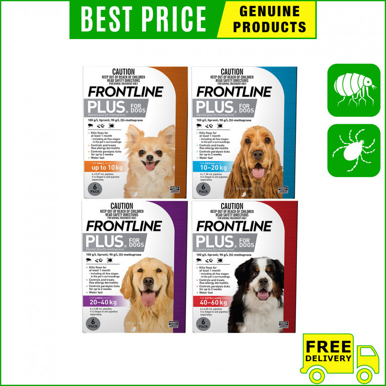 Buy-Frontline-Plus-for-Dogs-to-Control-and-Treat-Flea-Ticks.jpg