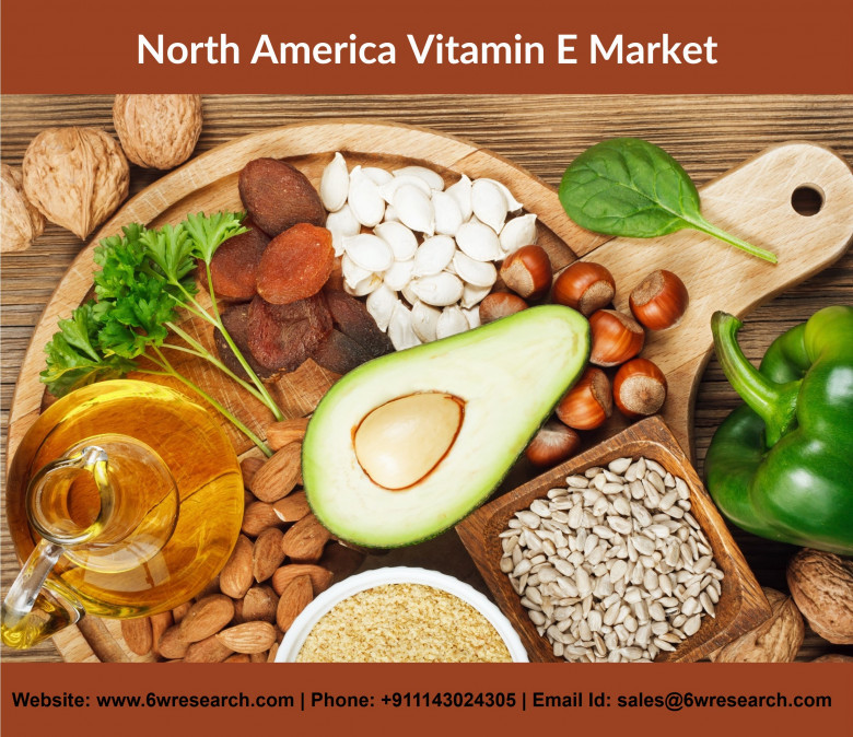 North America Vitamin E Market