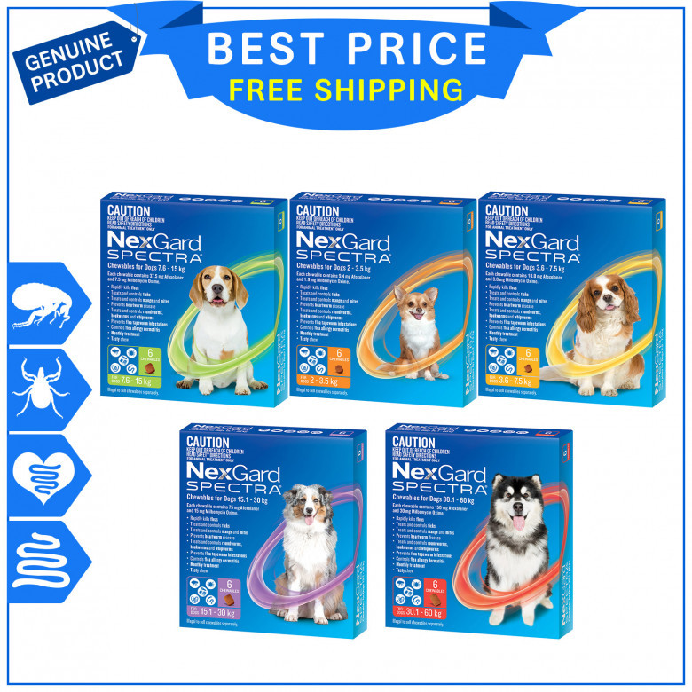 NEXGARD-SPECTRA-Prevent-and-Treat-Fleas-Tick-and-Worms-in-Dogs.jpg