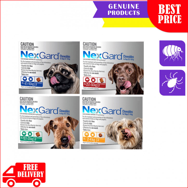NexGard-The-Flea-and-Tick-Protection-for-Dogs.jpg
