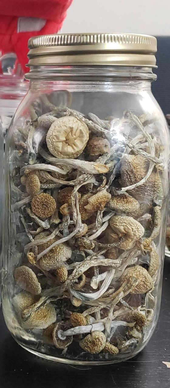 https://fortunetelleroracle.com/upload/tmp/2022-07/28/buy-shrooms-1-303698-c7061d2b2078072083fdfe01da701646.jpg