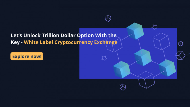 Cryptocurrency exchange script