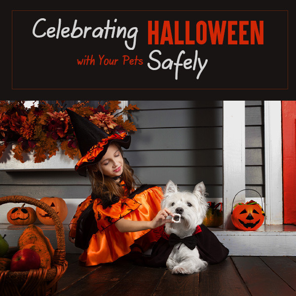 Celebrate-Halloween-Safely-With-Your-Pets.jpg