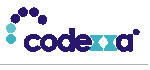 Digital Marketing Company in Pune & Mumbai | Best IT Company in Pune & Mumbai - Codexxa