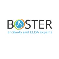 bosterbio