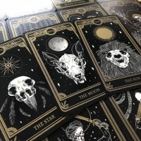 Cardreading23