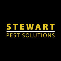 stewartpestsolutions