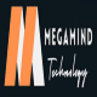 Megamind455