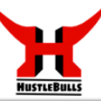 Hustlebulls