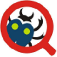QA_Mentor