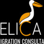 Pelican Immigration