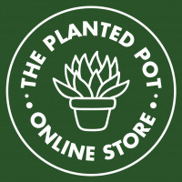 theplantedpot