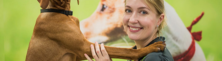 puppyplaygroundsydney