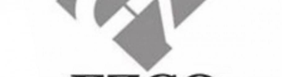 FZCOAccountants