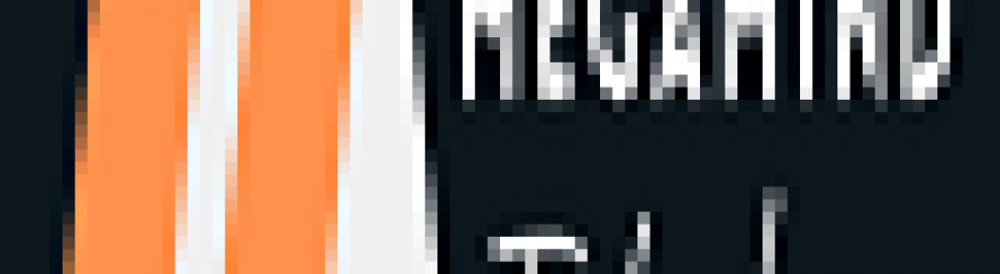 Megamind455