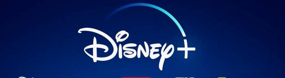 disneysetup