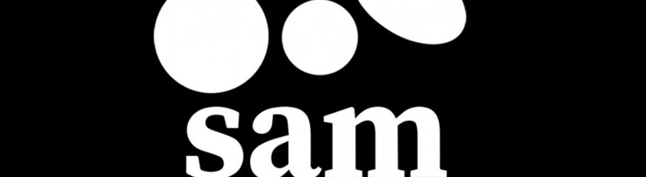 silverantmarketing