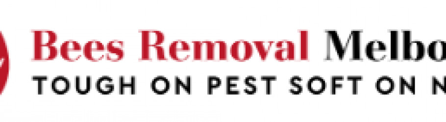 beesremoval