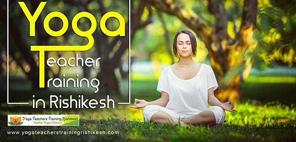 Yoga Teacher Training Courses in Rishikesh