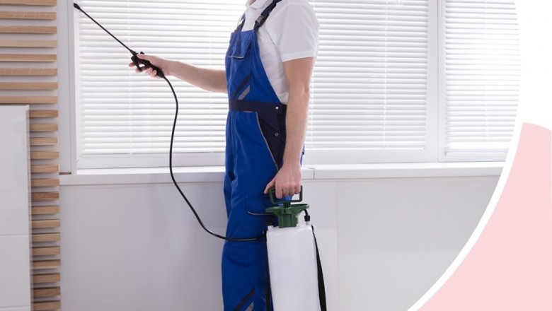 Pest control Services , Pest control Services In Noida, Pest Control In Gurgaon ,Pest Control Services In Delhi