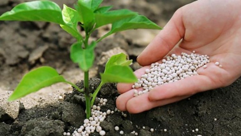 Global Agricultural Micronutrients Market (Market Share, Size, Report, Forecast)