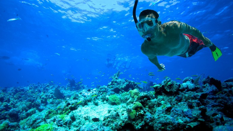 Snorkeling in Andaman