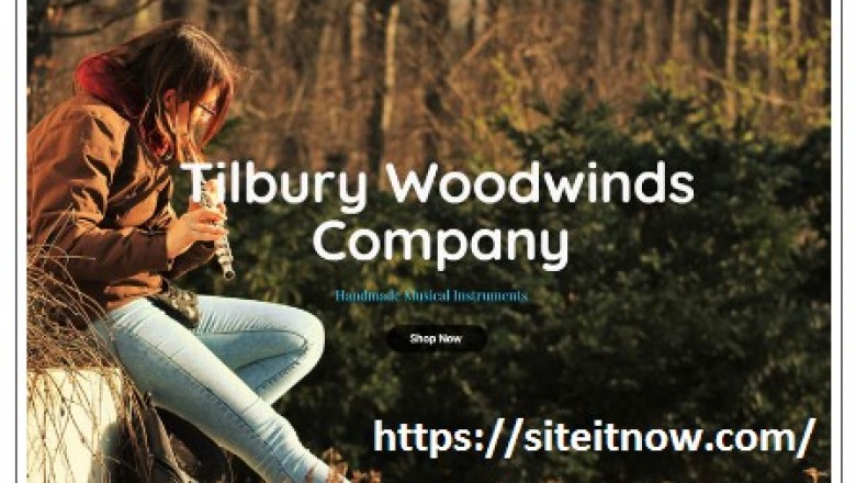 web design company Chicago |  Chicago web designers for small businesses | Chicago small business web design