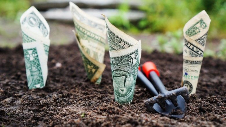 Financial Advisors: Top 6 Causes To Pick out Them