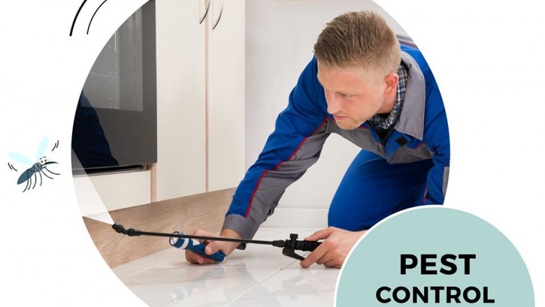 Pest Control, Termite Control In Delhi, Bed Bug Control In Gurgaon, Cockroach Control In Delhi