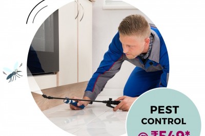 Pest Control, Termite Control In Delhi, Bed Bug Control In Gurgaon, Cockroach Control In Delhi