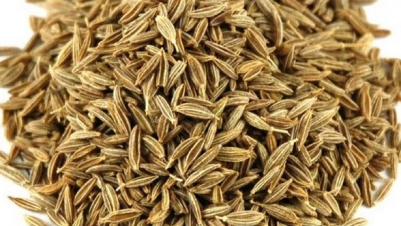 fournisseurs de graines de cumin
