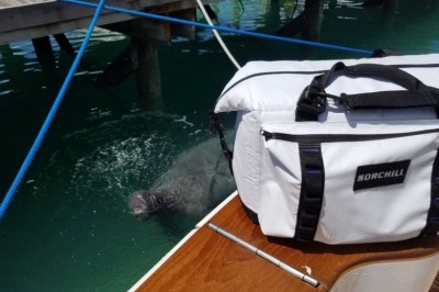 Boat Cooler - Find The Beach Coolers For Your Next Trips