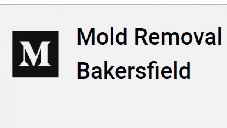 Mold Removal Costs - What You could Anticipate