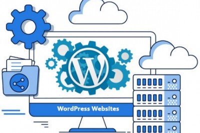 Wordpress Website Development Company in Delhi NCR, India