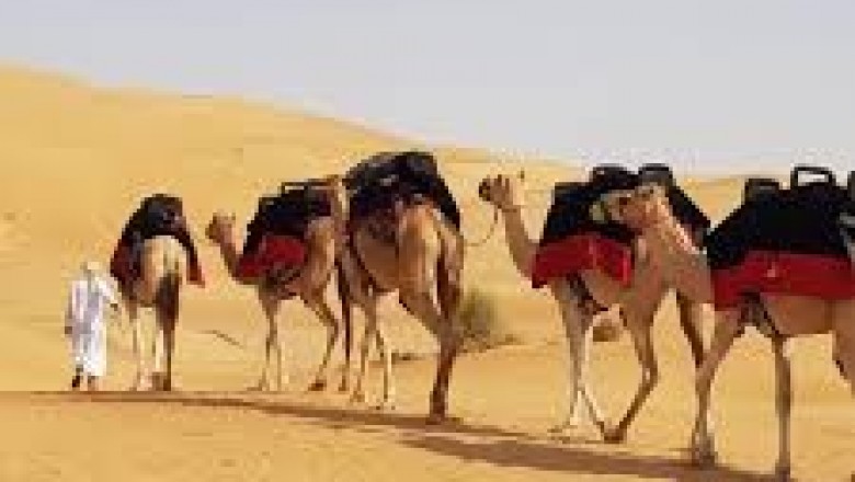 Desert Safari Sharjah AED 90 | Book now 058 129 6006 | 4x4 Home Pick&Drop